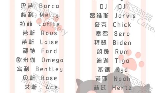 权威超市购物车坐小孩的位置叫什么平台,分享专业超市购物车坐小孩的位置叫什么知识_超市宝宝购物车网